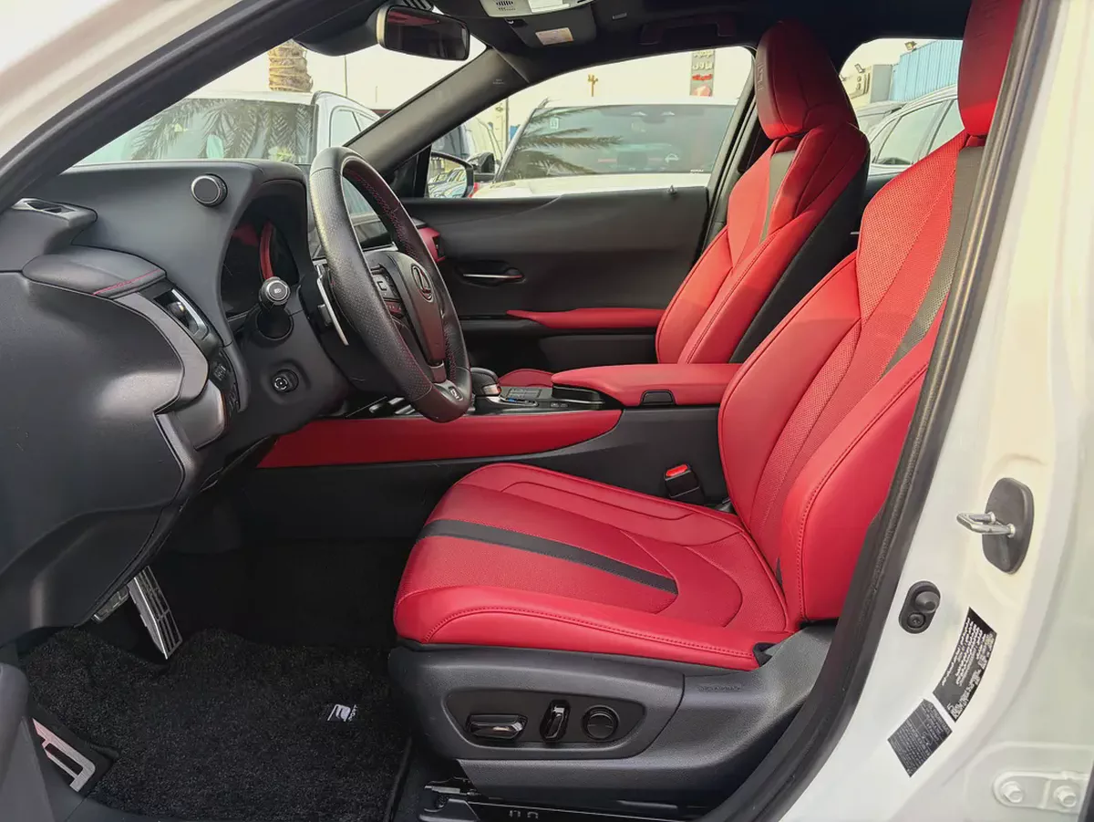 2024 Lexus UX300h F Sport - GCC Specs - Brand New-11-11