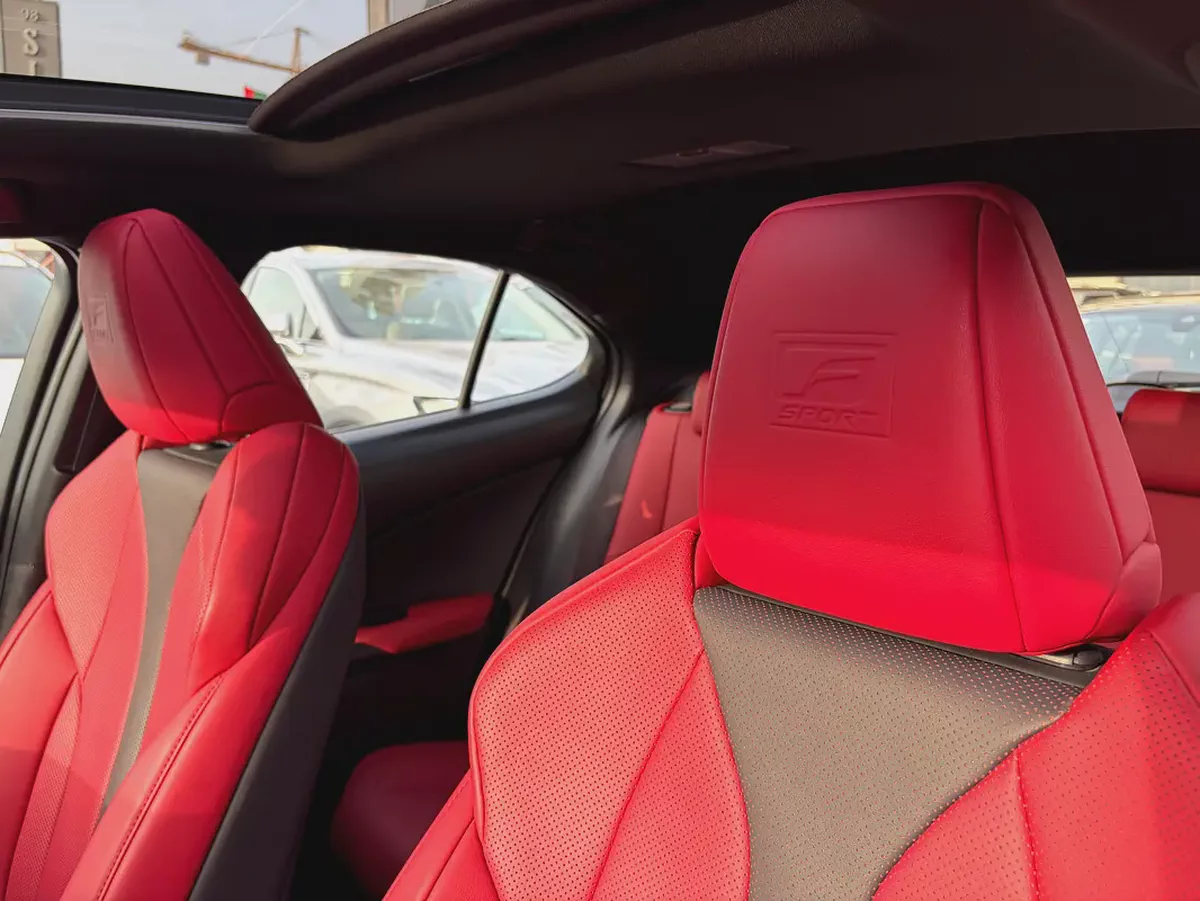 2024 Lexus UX300h F Sport - GCC Specs - Brand New-12-12