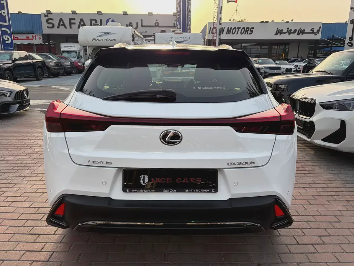 2024 Lexus UX300h F Sport - GCC Specs - Brand New-4-4