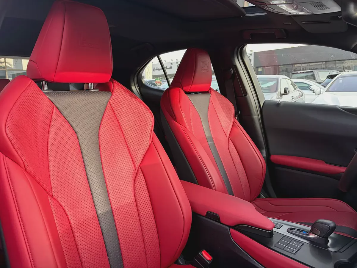 2024 Lexus UX300h F Sport - GCC Specs - Brand New-7-7
