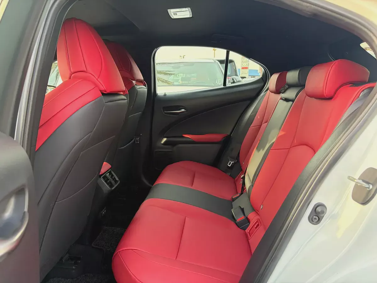 2024 Lexus UX300h F Sport - GCC Specs - Brand New-8-8