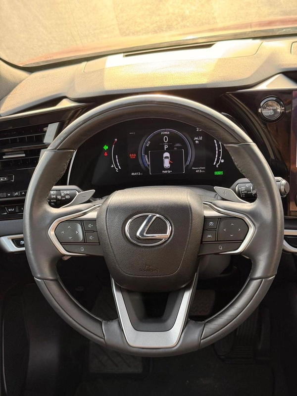 Lexus RX350h PLATINUM Hybrid Plus 2.5L