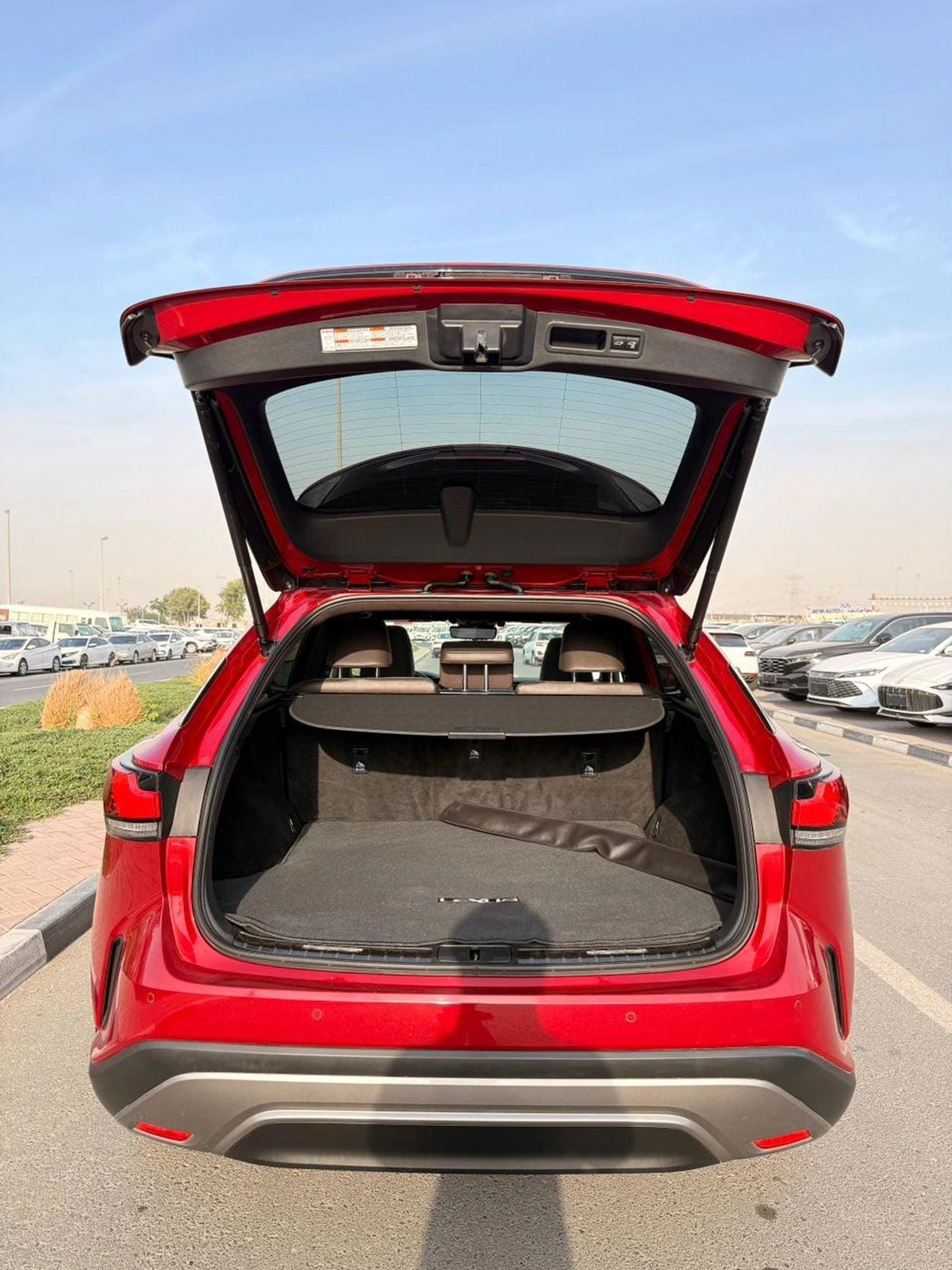 Lexus RX350h PLATINUM Hybrid Plus 2.5L-24-24