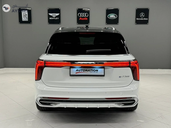 Hongqi E-HS9 2023