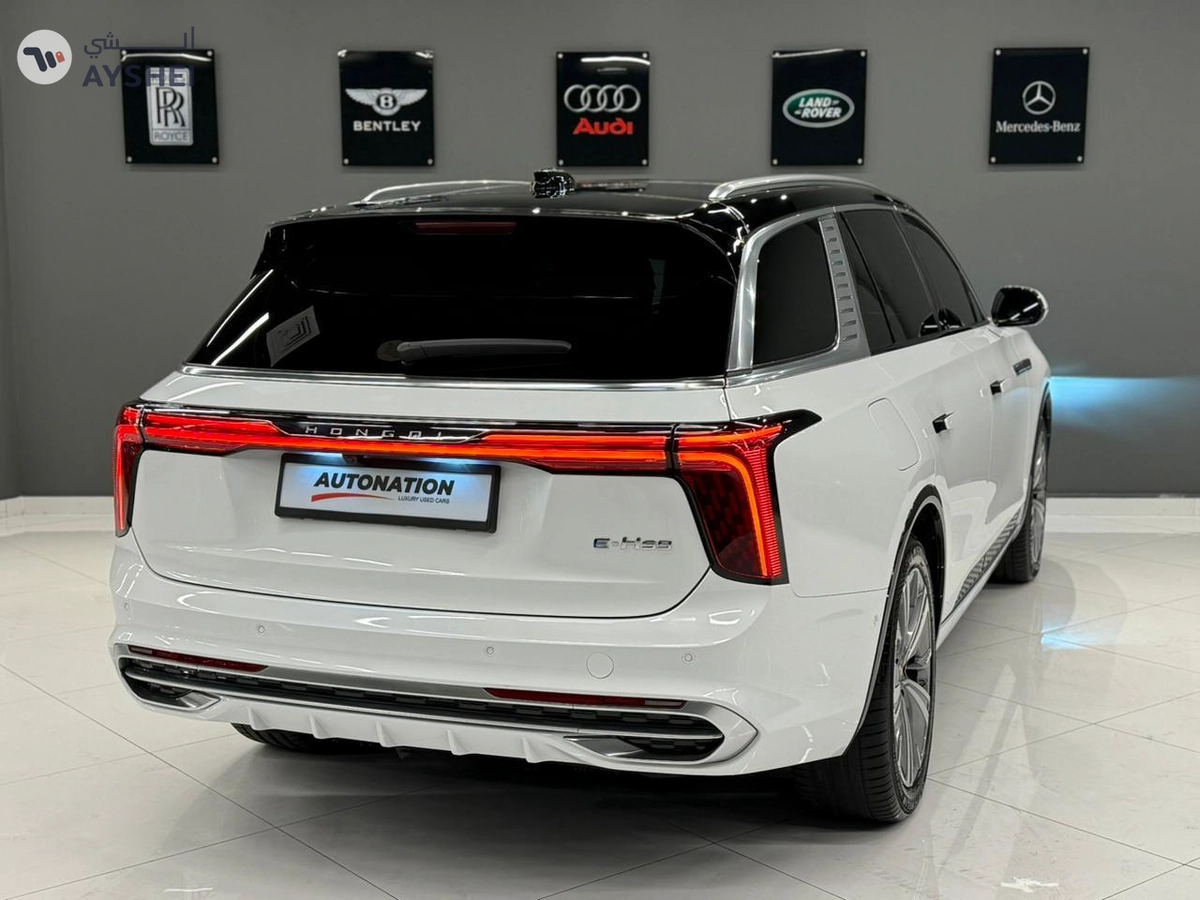 Hongqi E-HS9 2023-1-1