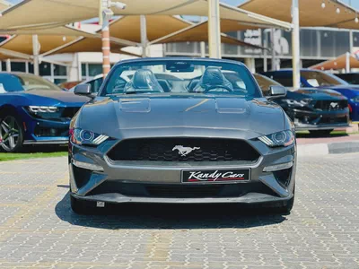 2022 Ford Mustang EcoBoost Convertible-5