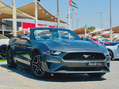2022 Ford Mustang EcoBoost Convertible-2