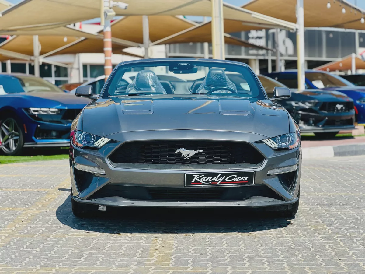 2022 Ford Mustang EcoBoost Convertible-5-5