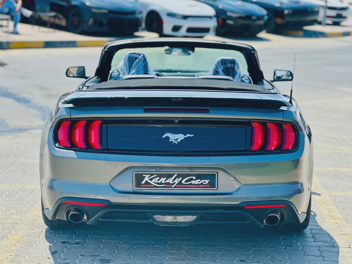 2022 Ford Mustang EcoBoost Convertible-10-10