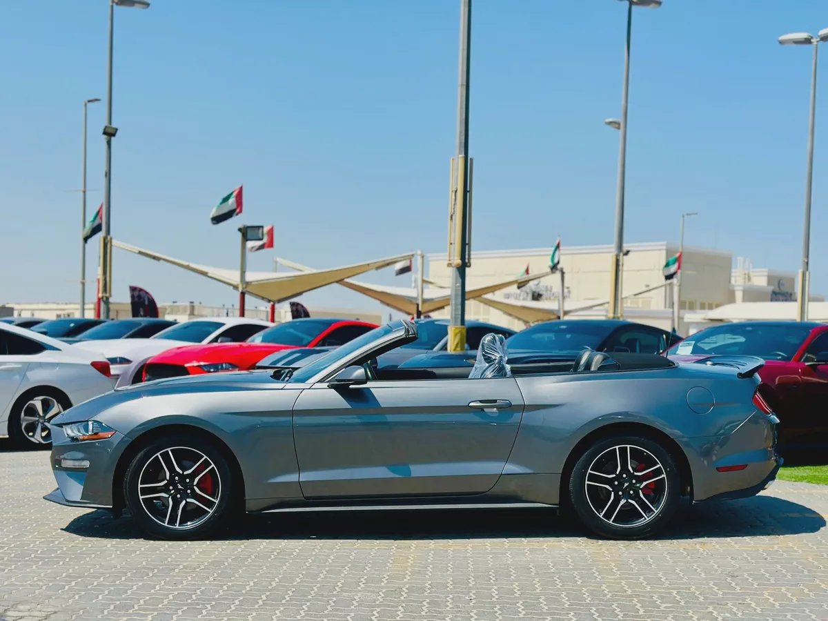 2022 Ford Mustang EcoBoost Convertible-8-8