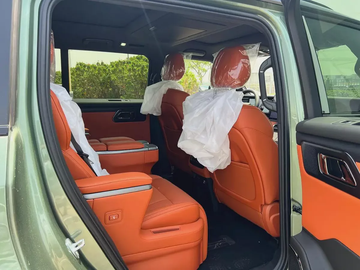 ROX 01 2026 6 SEATS ELECTRIC FOOT STEP FULL OPTION LONG RANGE-13-13
