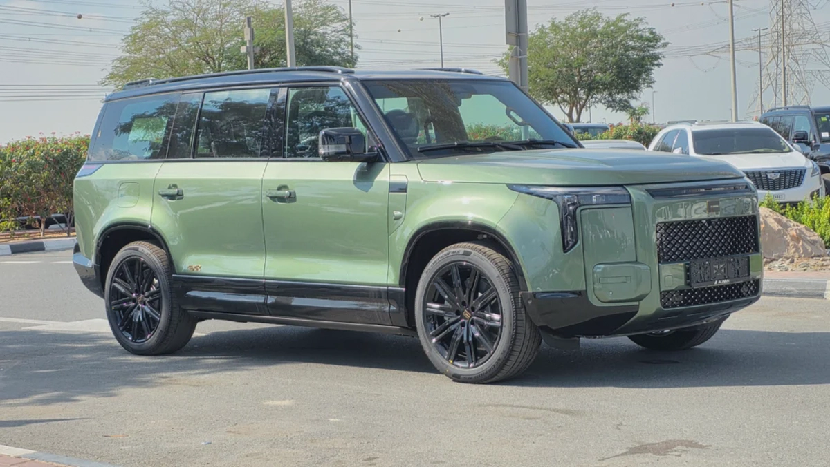 ROX ADAMAS (Green Purple)