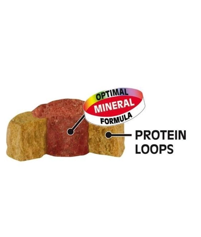 Sera Reptil Profess Carnivor, Two Colored Floating Granules Supplementary Food 1000Ml, Multi Colour-2