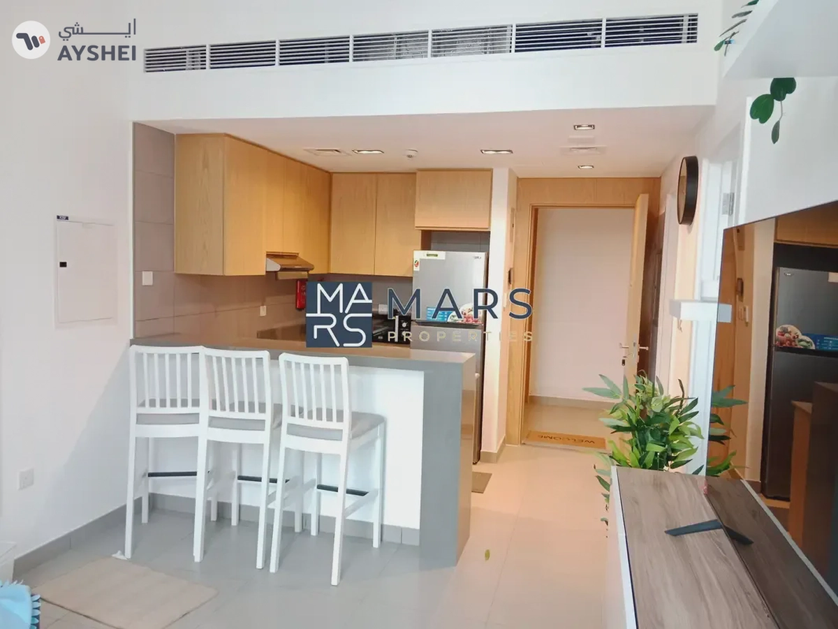 Luxurious Brand New fully furnished one bedroom apartment with all facilities only in 45k.-8-8