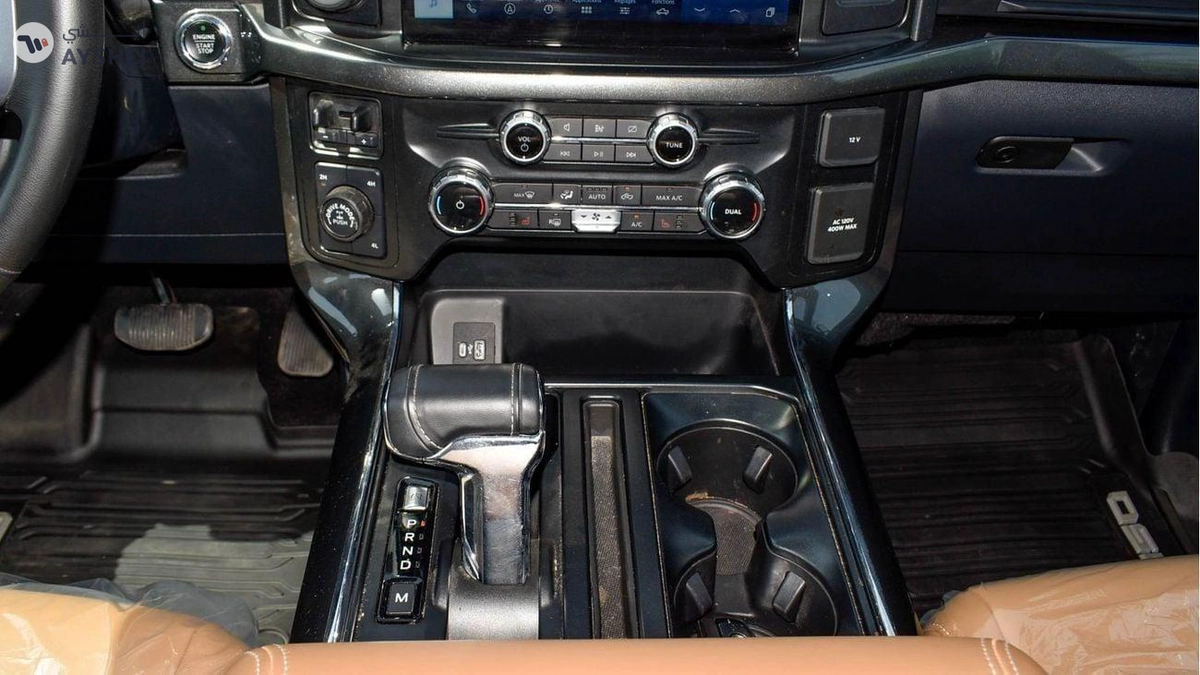 Ford F 150 Eco boost  3.5 L-10-10