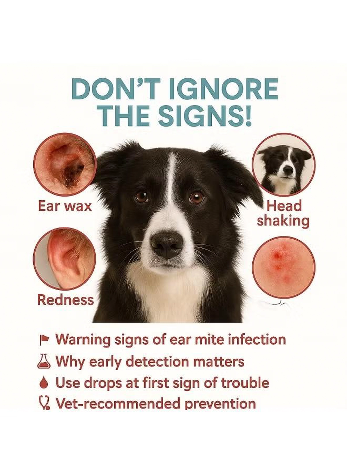 Bioline Ear Mite Treatment for Dogs & Cats | 30ml Pet Ear Cleaner Solution | Anti-Itch, Mite Removal Drops | Safe, Natural Formula | Vet-Recommended Pet Ear Hygiene Care for All Breeds-1-1