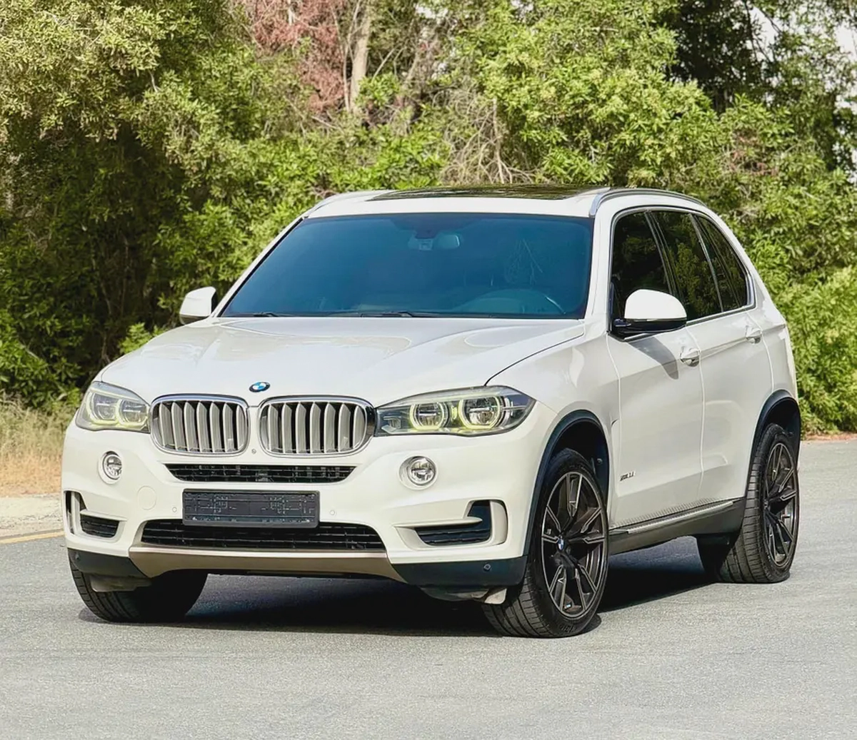 BMW X5 xDrive35i 2015 GCC Specs - Well Maintained Luxury SUV-1-1