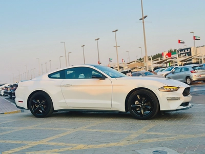 2023 Ford Mustang EcoBoost Fastback - # 12661-1