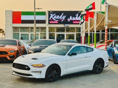 2023 Ford Mustang EcoBoost Fastback - # 12661-0