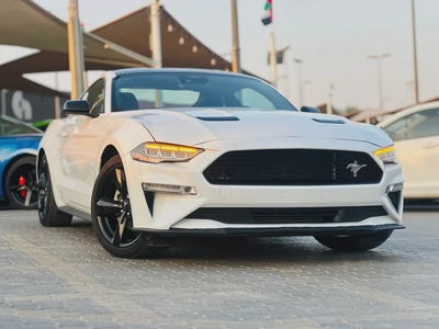 2023 Ford Mustang EcoBoost Fastback - # 12661-4