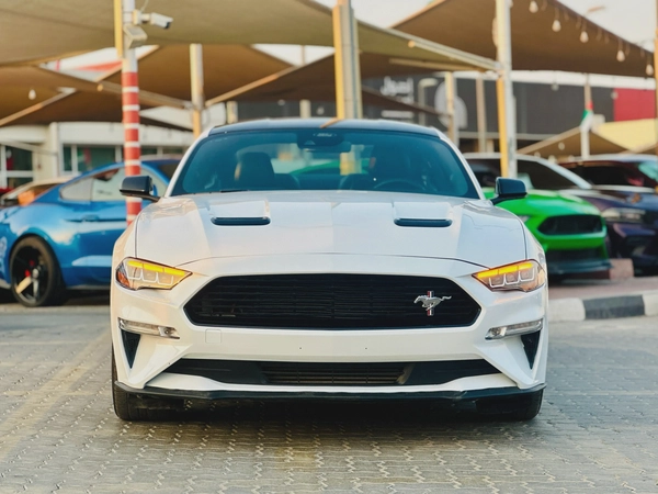 2023 Ford Mustang EcoBoost Fastback - # 12661