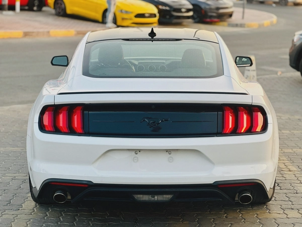 2023 Ford Mustang EcoBoost Fastback - # 12661