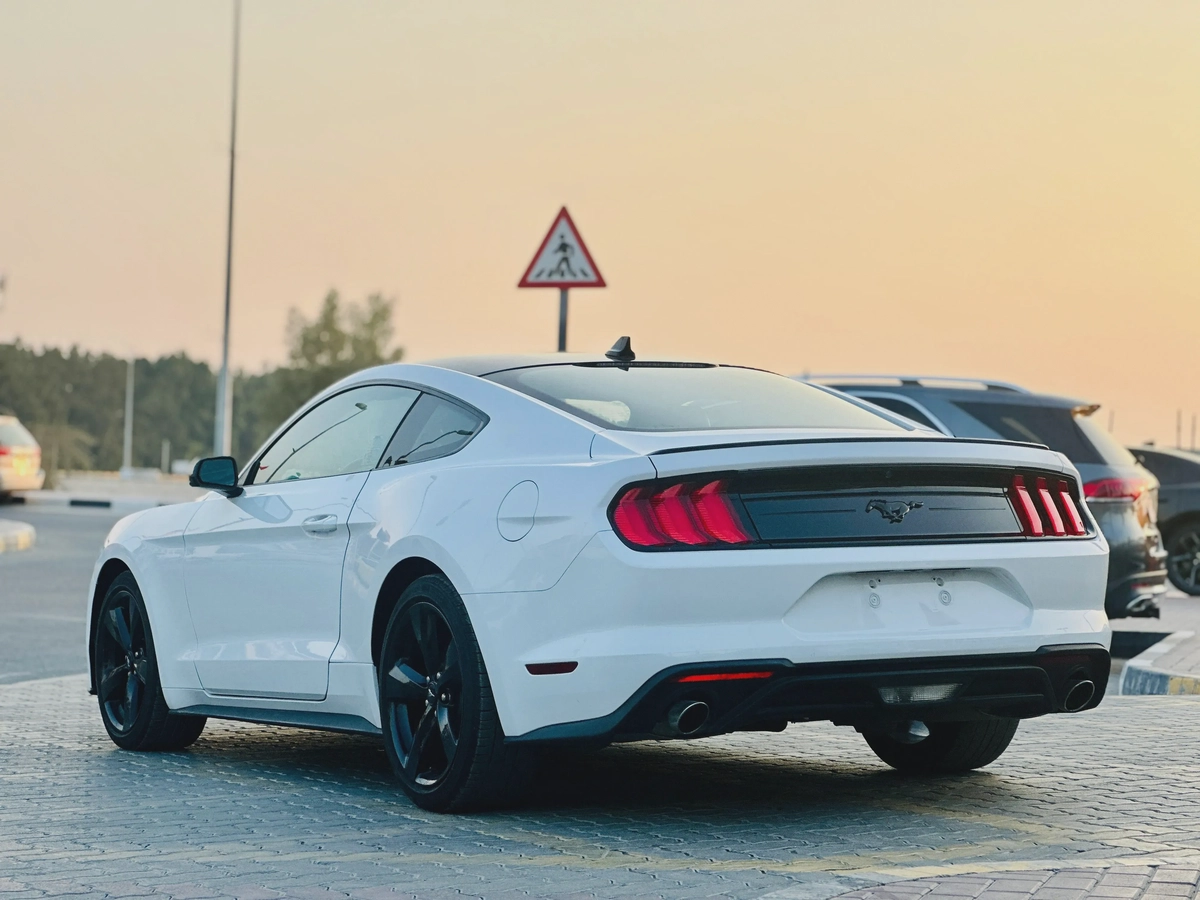 2023 Ford Mustang EcoBoost Fastback - # 12661-9-9