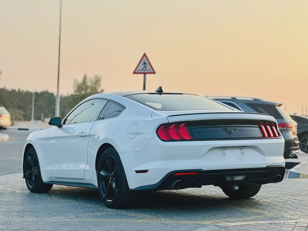 2023 Ford Mustang EcoBoost Fastback - # 12661