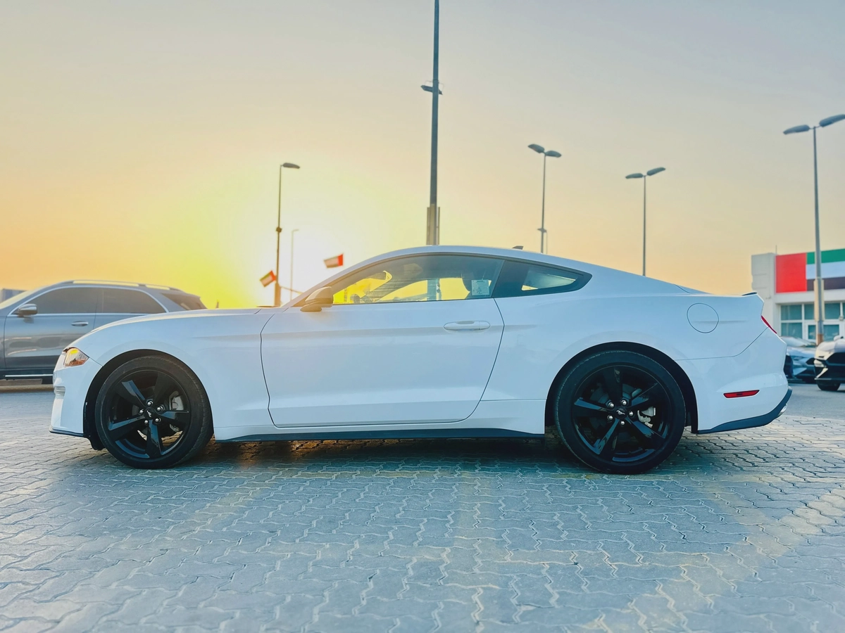 2023 Ford Mustang EcoBoost Fastback - # 12661-13-13
