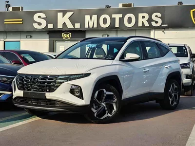 Hyundai Tucson PREMIUM 1.6L V4 PETROL / PUSH START / DVD CAMERA /  PANORAMIC ROOF / FULL OPTION  (CODE# TC16FO)-0