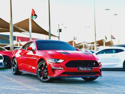 2019 Ford Mustang GT-5