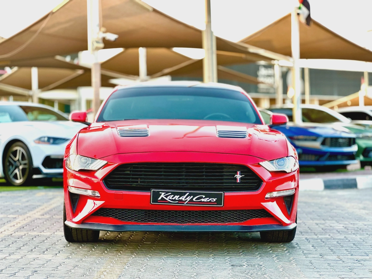 2019 Ford Mustang GT-4-4