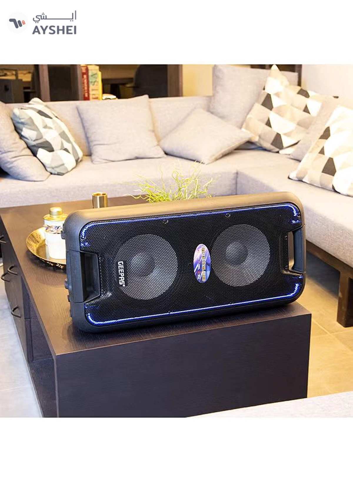 GEEPAS Portable And Rechargeable Professional Speaker- 10 Inch- Wireless Microphones, Battery Rechargeable | 50000 PMPO | Portable Woofer With Trolley Handle Black-2-2