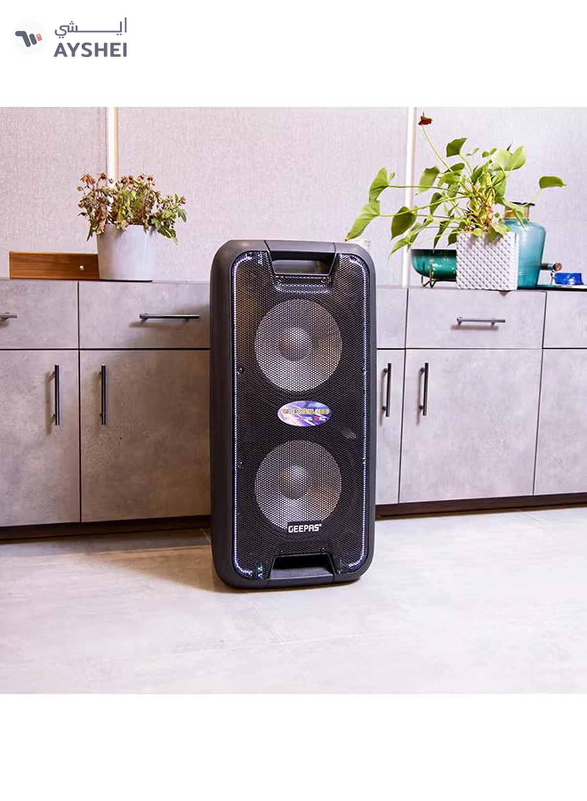 GEEPAS Portable And Rechargeable Professional Speaker- 10 Inch- Wireless Microphones, Battery Rechargeable | 50000 PMPO | Portable Woofer With Trolley Handle Black-4-4