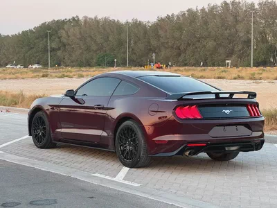 فورد موستنج ايكو بوست مواصفات امريكة بحالة جيدة-4