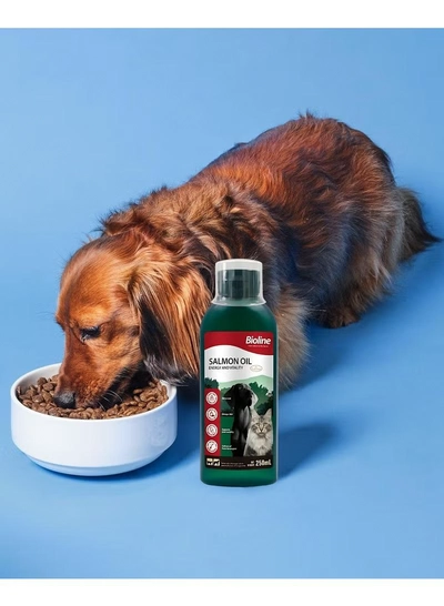  Bioline Norwegian Salmon Oil 250ml-4