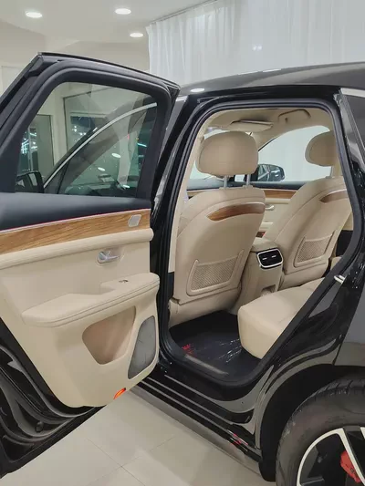 Brand New 2025 Seres 5 Premium | GCC Specs | Luxury Hybrid SUV-10