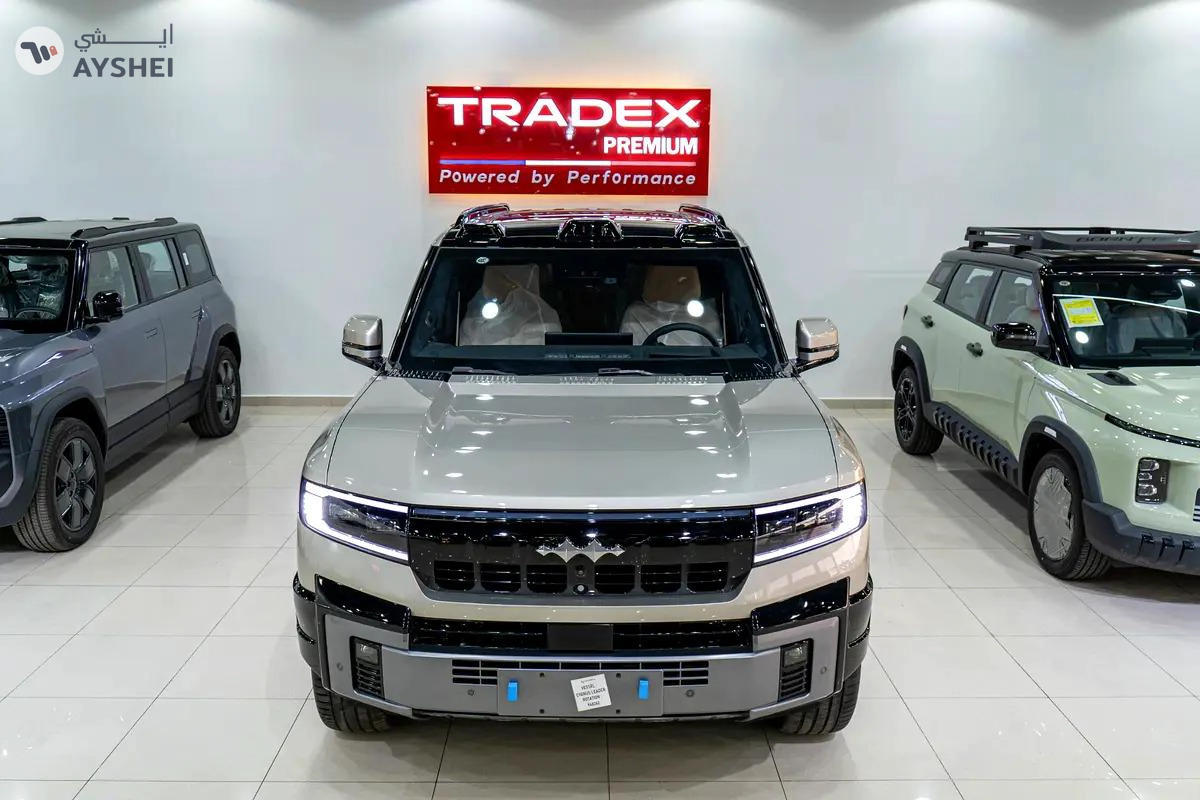 BYD Leopard 8 Flagship-2-2