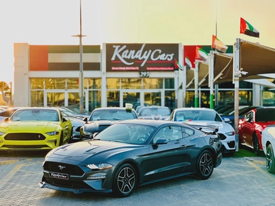 2019 Ford Mustang Ecoboost - # 73920-0