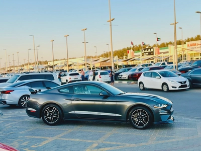2019 Ford Mustang Ecoboost - # 73920-6