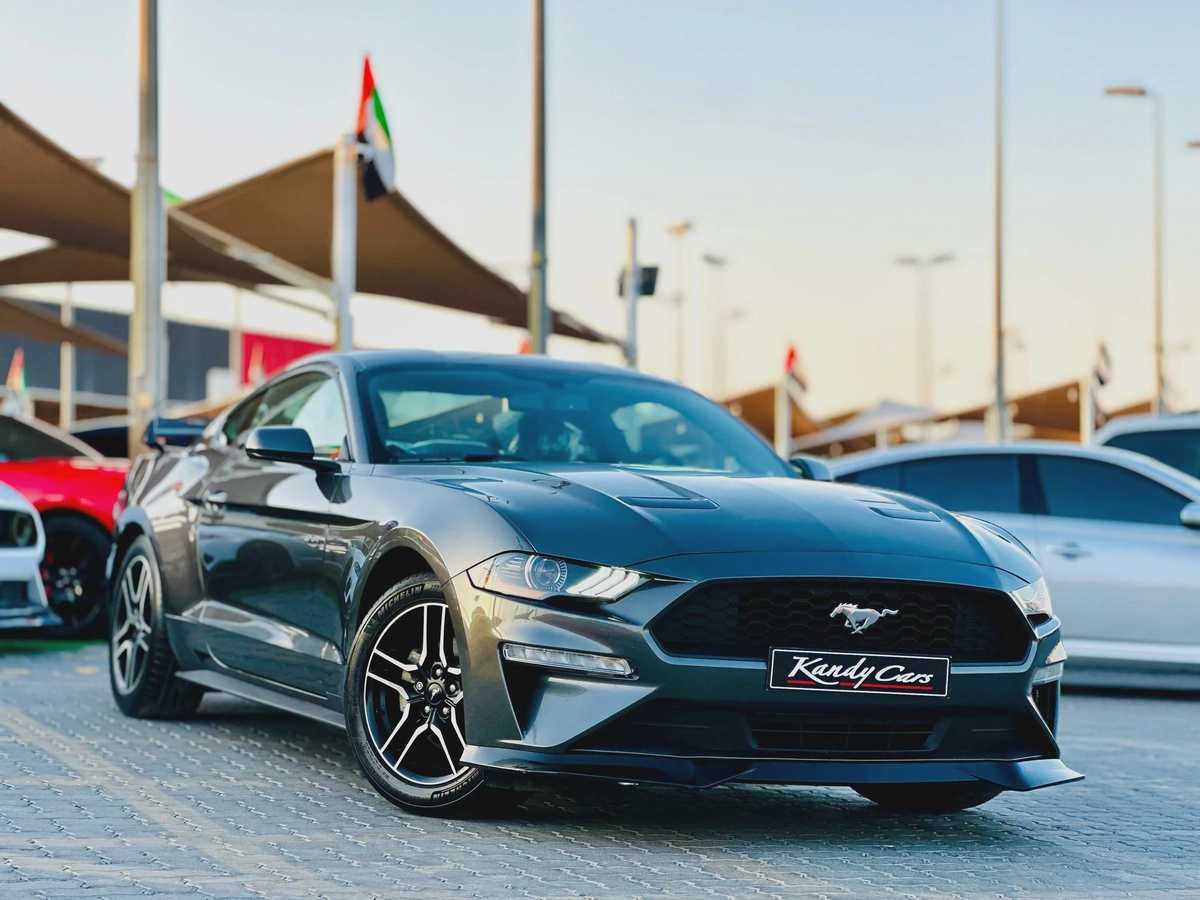 2019 Ford Mustang Ecoboost - # 73920-8-8