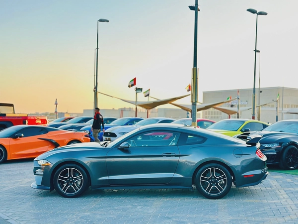 2019 Ford Mustang Ecoboost - # 73920