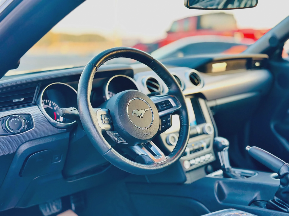 2019 Ford Mustang Ecoboost - # 73920-2-2