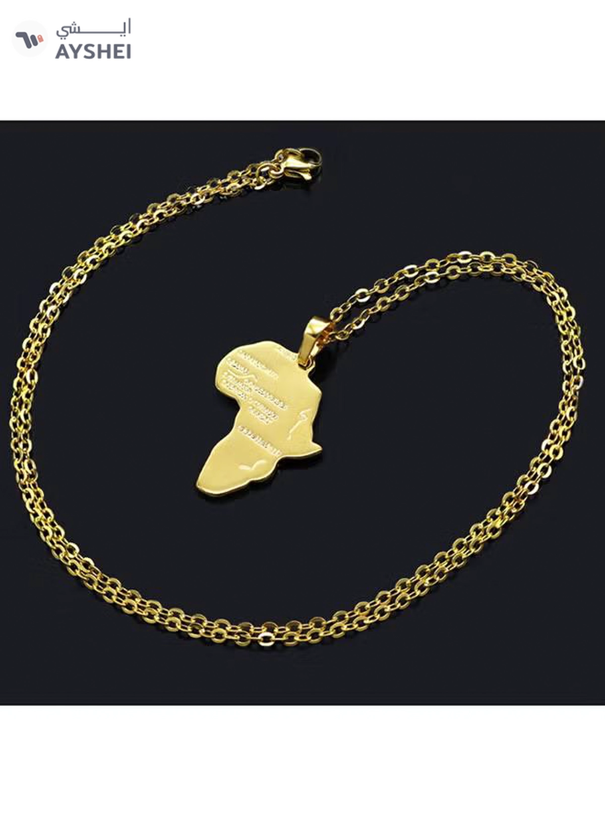 CJ 18 Karat Gold Plated Africa Map Pendant With Necklaces-1-1