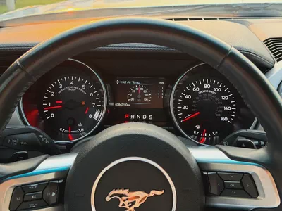 2021 Ford Mustang GT - V8 Performance - American Specs-10