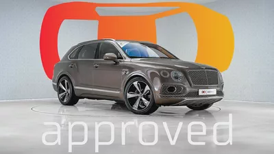 UAEs Very Best Example |  Incomparably Prepared Example |  First Edition-0