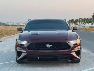 فورد موستنج ايكو بوست مواصفات امريكة بحالة جيدة-1