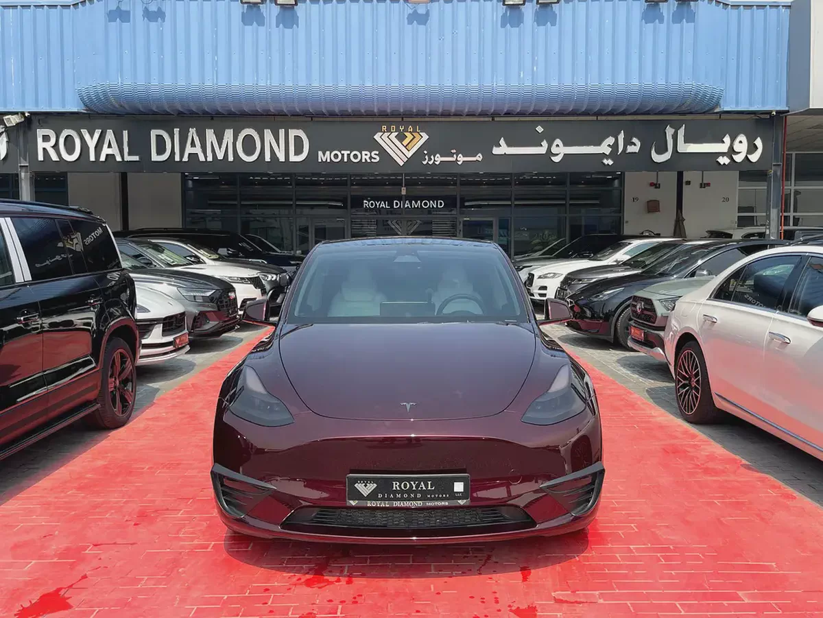 Tesla Model Y Performance 2024 GCC Specs - Brand New-1-1