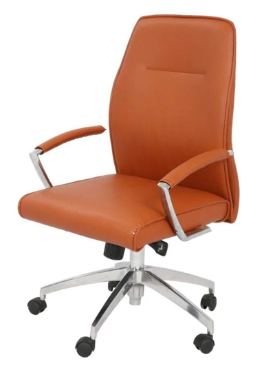 Dolphin Mid Back Chair-0