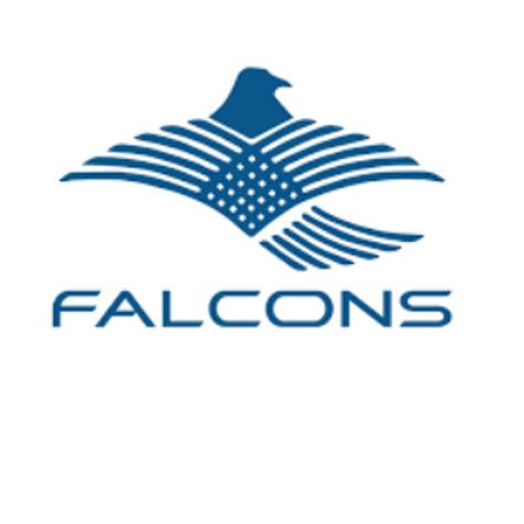 falcons_gt_motors-avatar